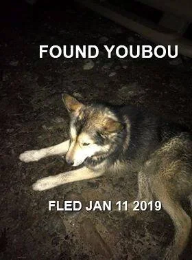 Went to Shelter - Jan 2019 - YOUBOU BC