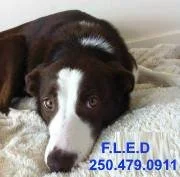 NOTHING MORE TO REPORT - FEB 2019 - SAANICH BC