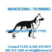 AT LARGE - FEB 2019 - METCHOSIN BC