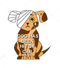 AT LARGE - FEB 2019 - LANGFORD BC