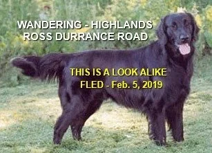 UNSOLVED - FEB 2019 - HIGHLANDS BC