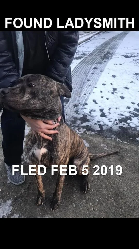 FOUND - FEB 2019 - LADYSMITH BC