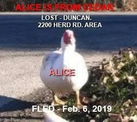 UNSOLVED - FEB 2019 - DUNCAN BC