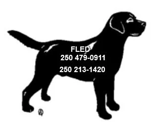 UNSOLVED - FEB. 2019 - DUNCAN BC