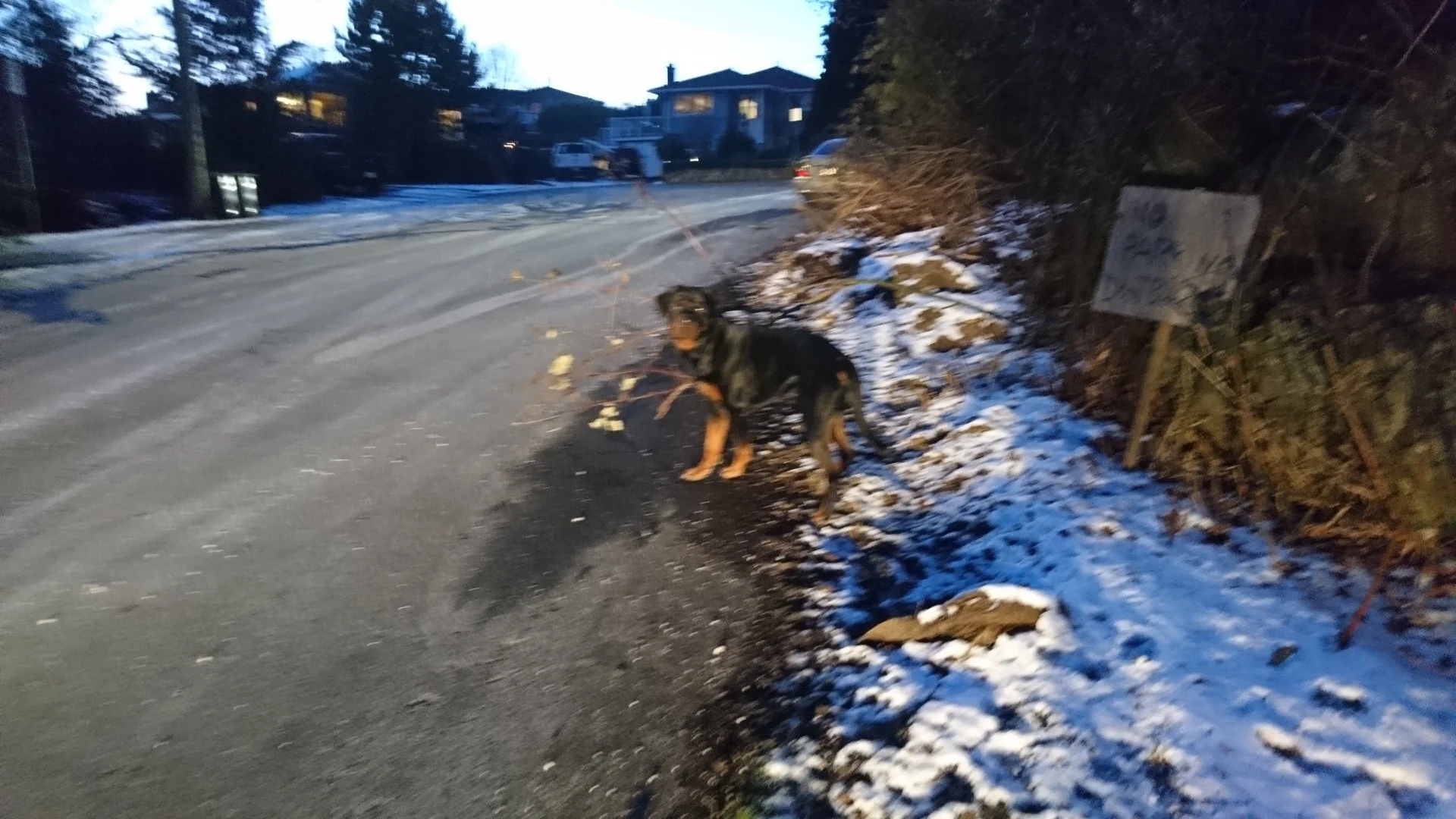 UNSOLVED- FEB 2019 - SAANICH BC