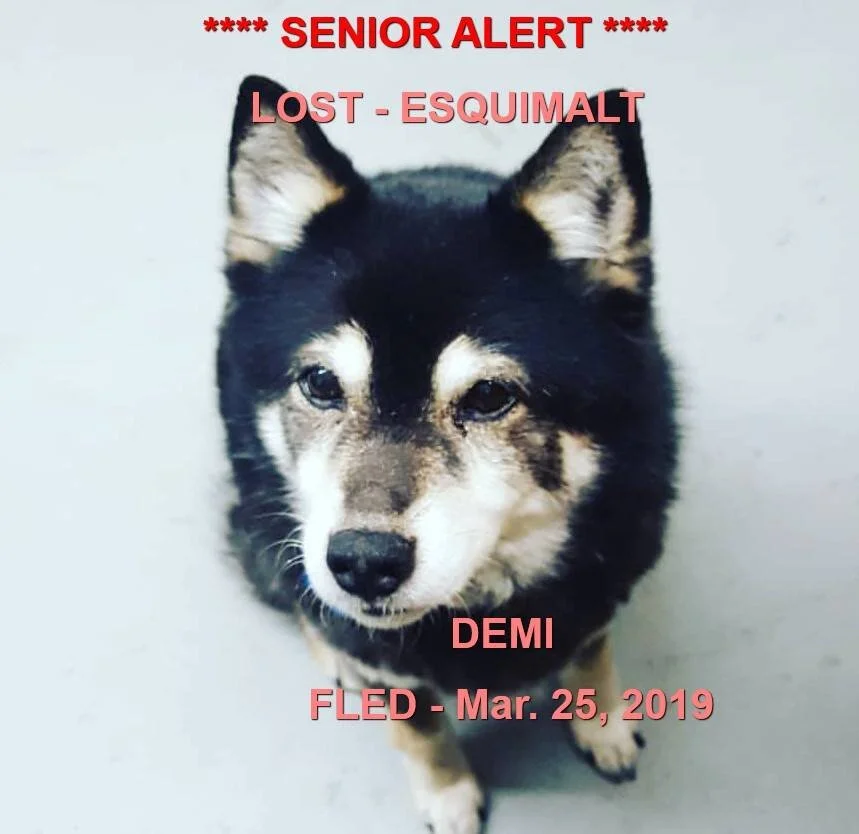 HAPPY TAILS - MAR. 2019 - ESQUIMALT BC