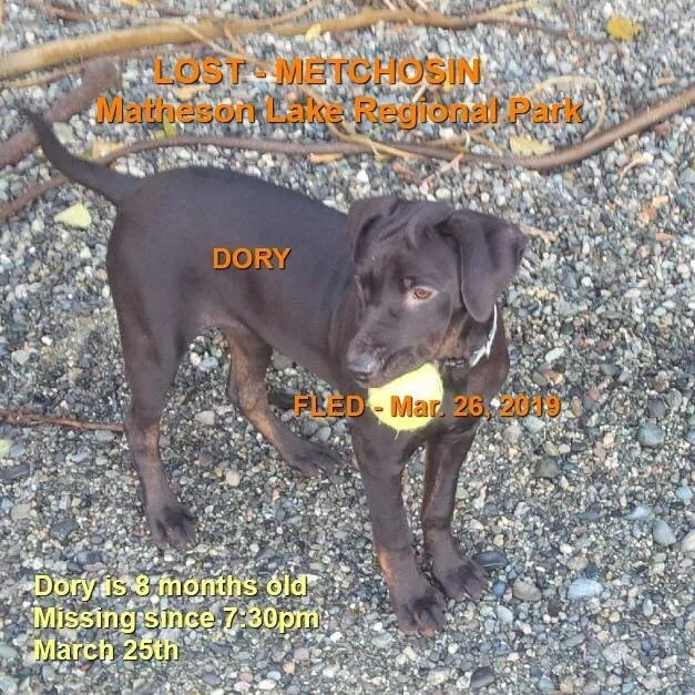 RAINBOW BRIDGE - MAR. 2019 - METCHOSIN BC