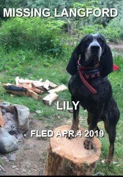 STOLEN / STILL MISSING - MAR 2019 - WEST HIGHLANDS BC