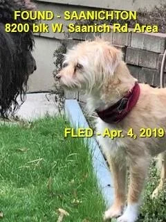 UNSOLVED - MAR 2019 - SAANICHTON BC