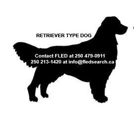 UNSOLVED - MAR 2019 - SAANICH BC