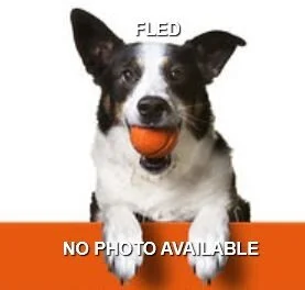 FOUND - MAR. 2019 - LANGFORD BC