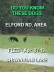 UNSOLVED - APR. 2019 - SHAWNIGAN LAKE BC