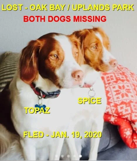 HAPPY TAILS - JAN. 19, 2020 - OAK BAY BC