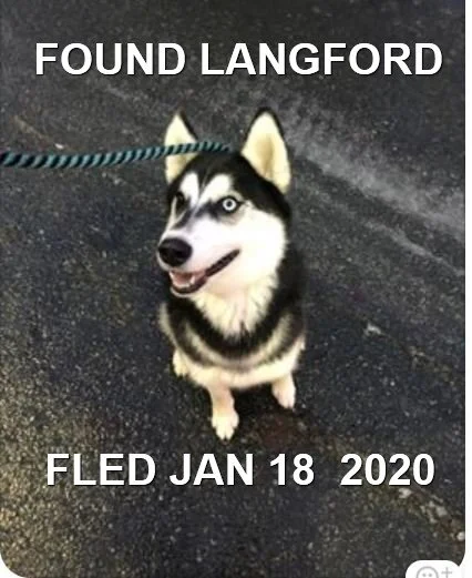 HAPPY TAILS - JAN. 18, 2020 - LANGFORD BC