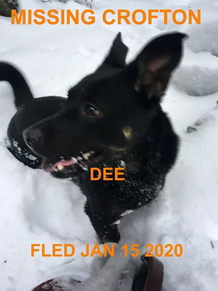 HAPPY TAILS - JAN. 15, 2020 - CROFTON BC