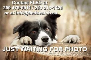 UNSOLVED - JAN. 15, 2020 - LANGFORD BC