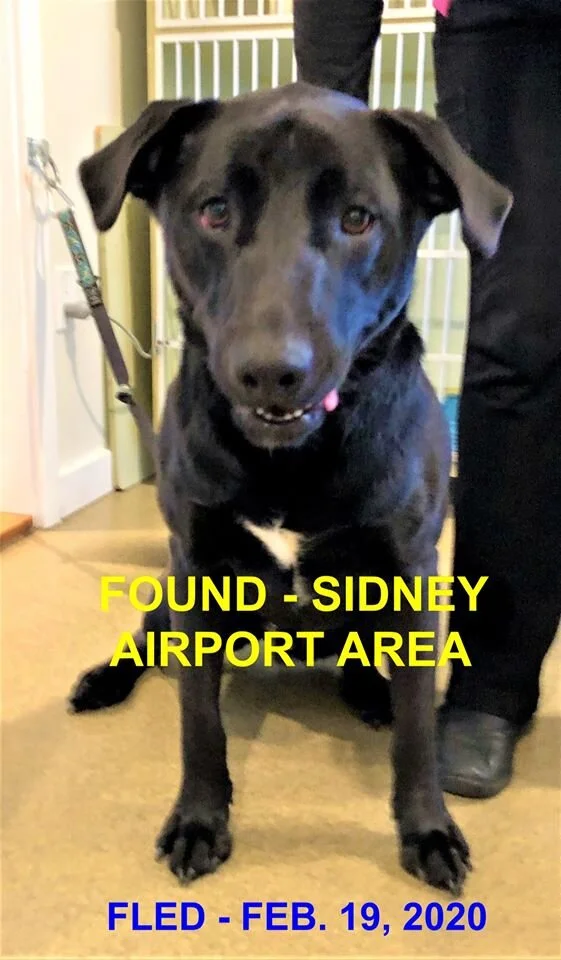 HAPPY TAILS - NORTH SAANICH - FEB. 19, 2020