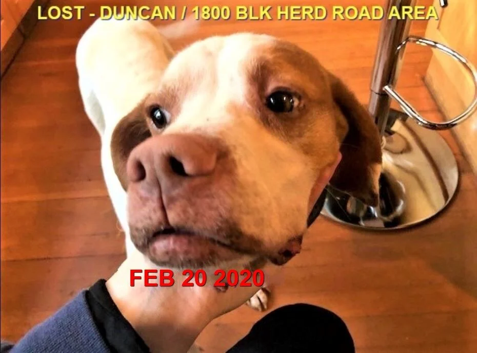 HAPPY TAILS - DUNCAN - FEB. 20, 2020