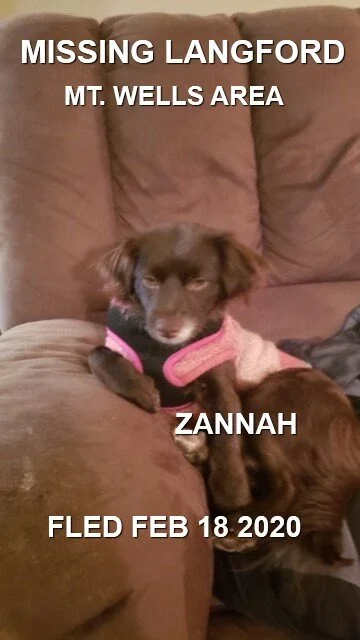 HAPPY TAILS - LANGFORD BC. - FEB. 18, 2020