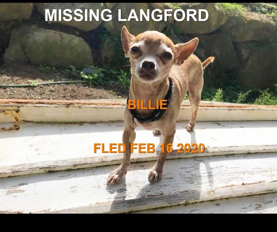 HAPPY TAILS - LANGFORD BC - FEB. 16, 2020