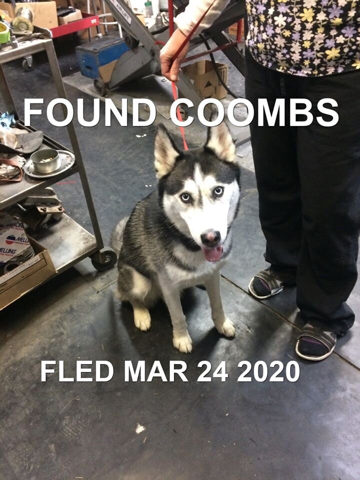 HAPPY TAILS - COOMBS - MAR. 24, 2020