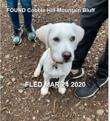 HAPPY TAILS - COBBLE HILL - MAR. 24, 2020