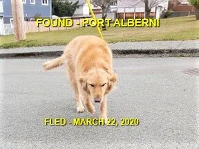 HAPPY TAILS - PORT ALBERNI - MAR. 22, 2020
