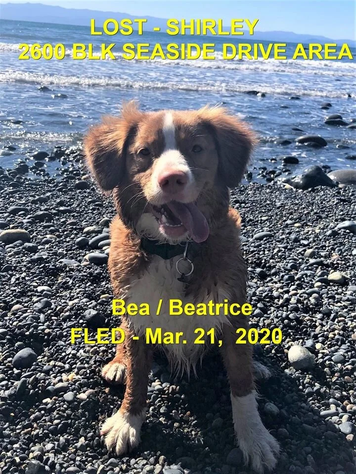 HAPPY TAILS - MAR. 21, 2020