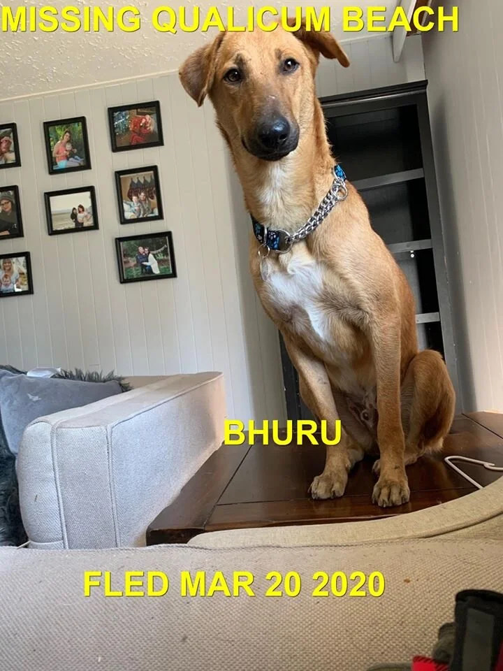 HAPPY TAILS - CAUGHT BY FLED - QUALICUM BEACH - MAR.20, 2020