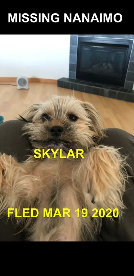 HAPPY TAILS - NANAIMO - MAR. 19, 2020