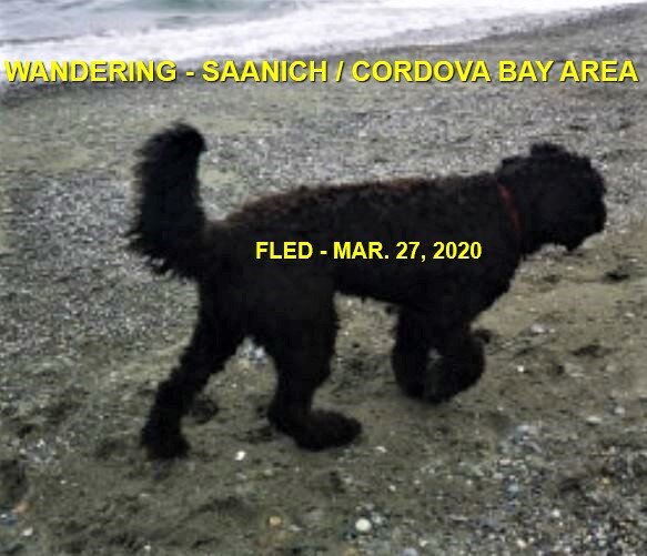 NOTHING MORE REPORTED - MAR. 2020 - SAANICH BC