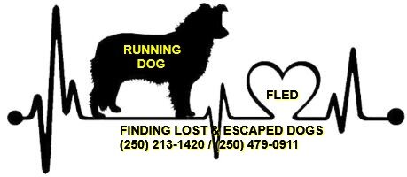 NOTHING MORE REPORTED - ERRINGTON BC - MAR 2020