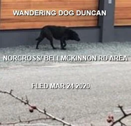 NOTHING MORE REPORTED - MAR. 2020 - DUNCAN