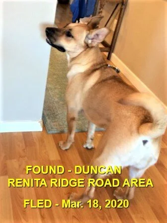 HAPPY TAILS - DUNCAN BC - MAR. 18, 2020