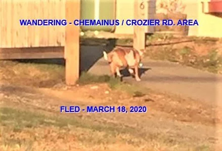 NOTHING MORE REPORTED - CHEMAINUS BC - MAR. 18, 2020