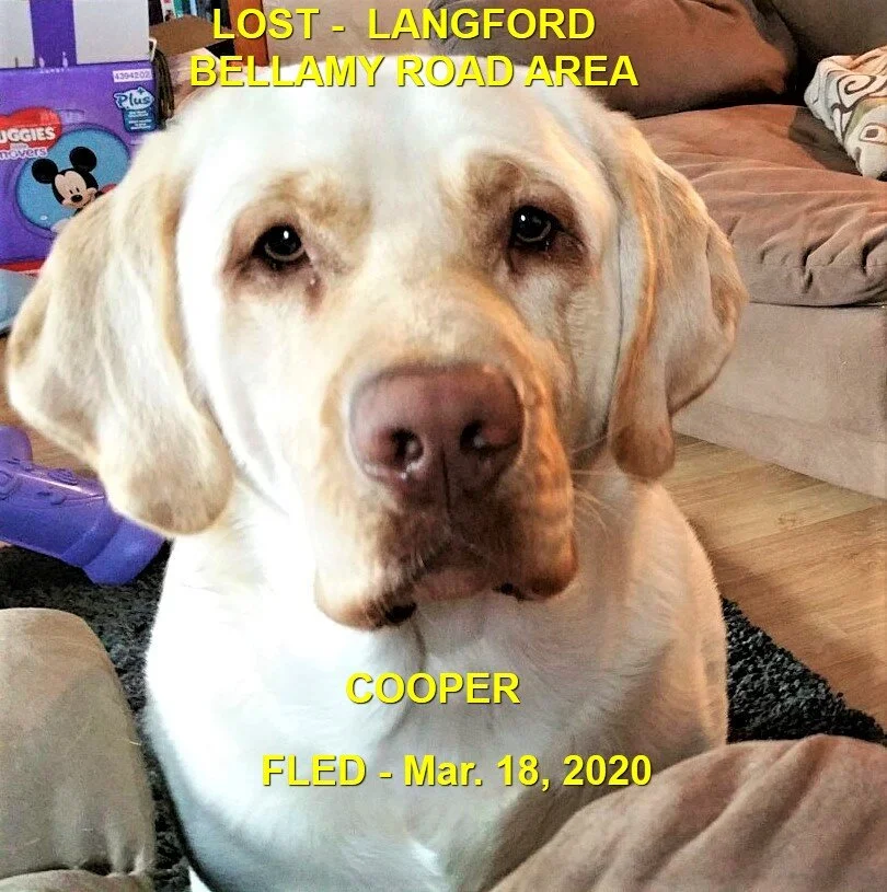 HAPPY TAILS - LANGFORD BC - MAR. 18, 2020
