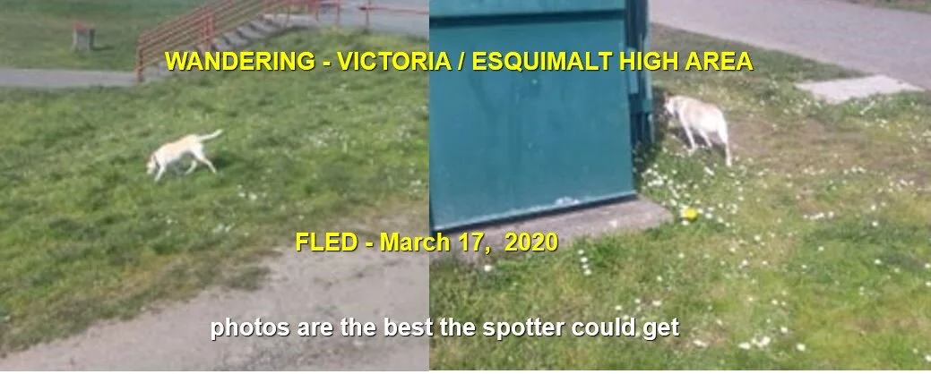 NOTHING MORE REPORTED - MAR 2020 - ESQUIMALT BC