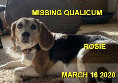 HAPPY TAILS - QUALICUM BEACH, BC - MAR. 16, 2020