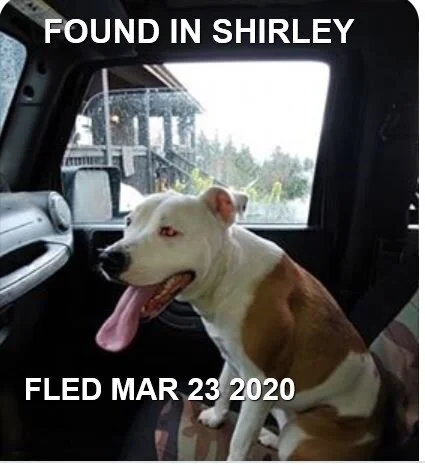 HAPPY TAILS - SHIRLEY, BC - MAR. 23, 2020