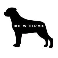 HAPPY TAILS - NANAIMO BC. - MAR. 15, 2020