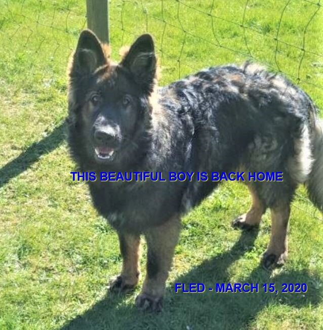 HAPPY TAILS - COBBLE HILL BC - MAR. 15, 2020