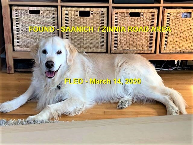 HAPPY TAILS - SAANICH BC - MAR. 14, 2020