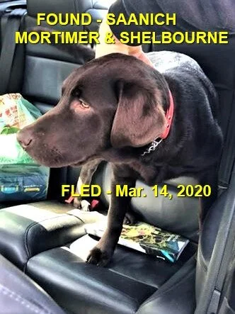 HAPPY TAILS - SAANICH BC - MAR. 14, 2020