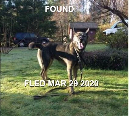 HAPPY TAILS - SHAWNIGAN LAKE - MAR. 27, 2020