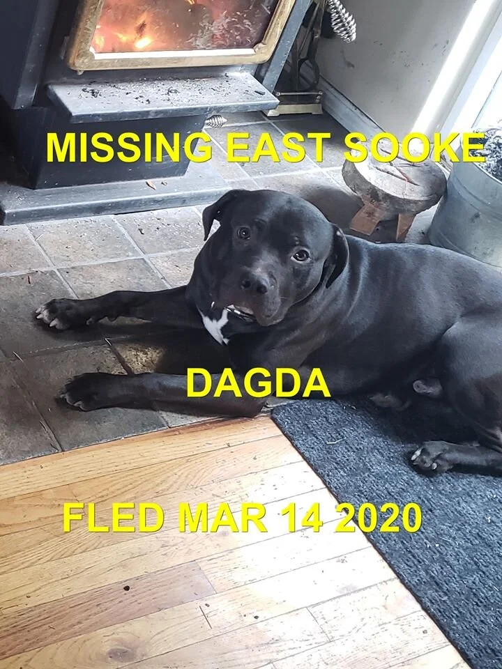 HAPPY TAILS - EAST SOOKE, BC. - MAR. 14, 2020