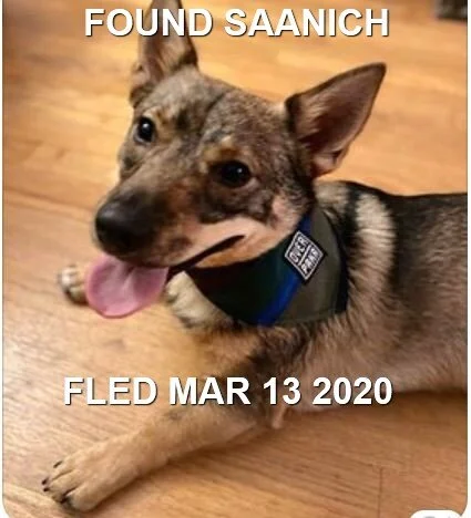 HAPPY TAILS - SAANICH, BC - MAR. 13, 2020