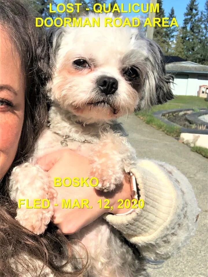 HAPPY TAILS - QUALICUM BC - MAR. 12, 2020