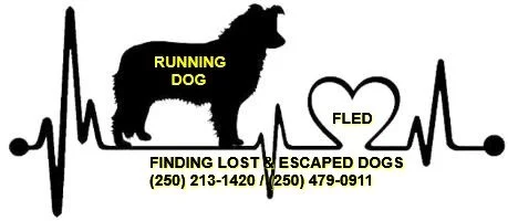 HAPPY TAILS - MILL BAY, BC - MAR. 12, 2020