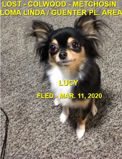 HAPPY TAILS - COLWOOD BC - MAR. 11, 2020