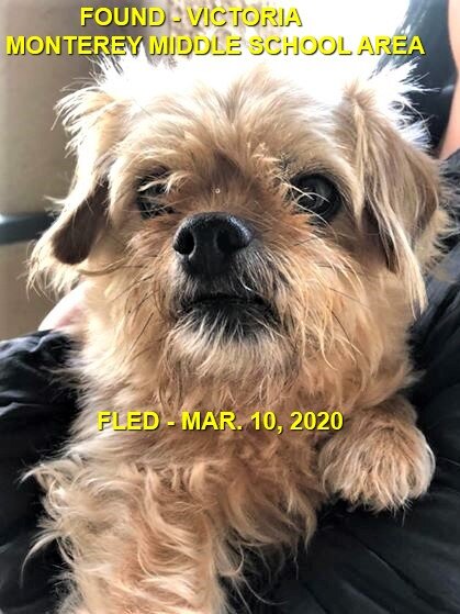 HAPPY TAILS - VICTORIA BC - MAR. 10, 2020